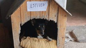 Le robaron el perro a la Brigada Rural de Paso Córdoba
