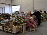 La mega Feria de Frutas y Verduras que arriba a Cipolletti: qué precios tiene