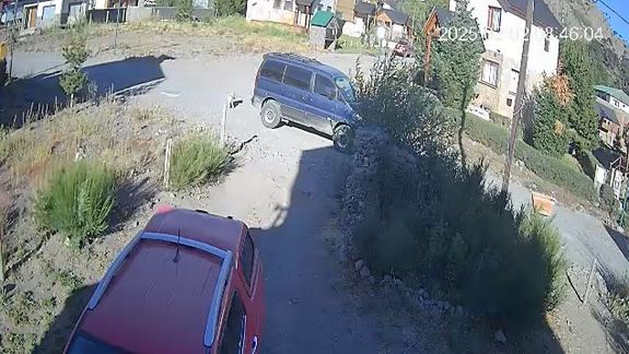 Indignante video: atropelló a una perra de 13 años