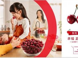 Chile hace una importabte inversión en comunicación para sostener el mercado chino. Chile hace una importabte inversión en comunicación para sostener el mercado chino.