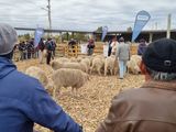 Del 5 al 7 de abril, en Zapala, se realizará una nueva edición de la Feria Integral de la Producción. Foto: gentileza