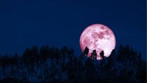 En Neuquén se desarrollará un evento para ver la Luna de Fresa.