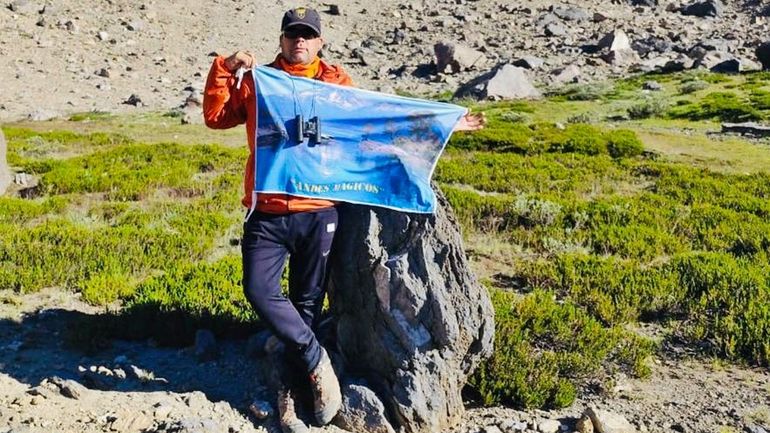 Asombroso hallazgo: un bosque petrificado escondido en la Cordillera neuquina