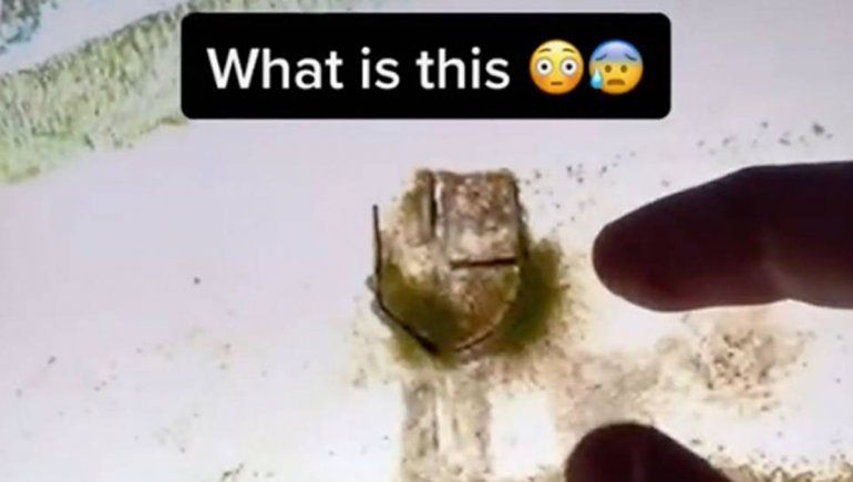 Así luce la misteriosa imagen en Google Maps | Foto:&nbsp;@hidden.on.google.earth