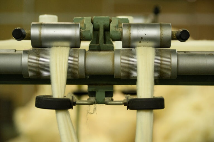 El empleo industrial de Neuquén creció 37% entre 2020 y 2024. Foto: INTA El empleo industrial de Neuquén creció 37% entre 2020 y 2024. Foto: INTA