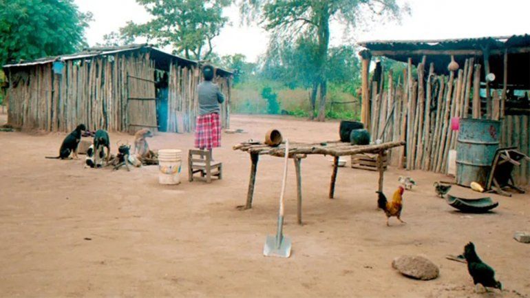 Comunidades indígenas usan yuyos y miel para afrontar el coronavirus