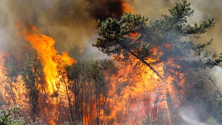 Siguen los incendios en el sur de Chile con casi 18 mil hectáreas arrasadas