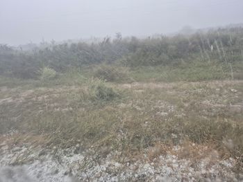 La lluvia intensa podría generar pérdidas en una temporada clave para las exportaciones de la Norpatagonia. La lluvia intensa podría generar pérdidas en una temporada clave para las exportaciones de la Norpatagonia.