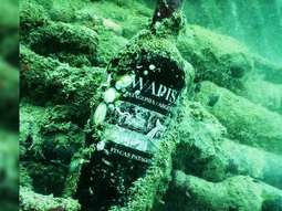 La cava submarina está ubicada en el Golfo San Matías. La cava submarina está ubicada en el Golfo San Matías.