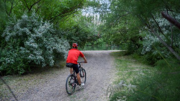 Qué dice el pronóstico para este domingo: ¿Calmará el viento?