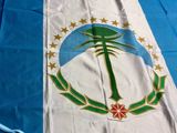 La bandera de la provincia de Neuquén cumple 34 años