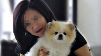 murio un perro que habia sido diagnosticado con coronavirus en hong kong murio un perro que habia sido diagnosticado con coronavirus en hong kong