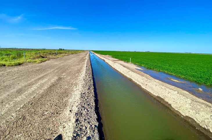 Optimización en Huergo: El revestimiento del Canal Terciario III eliminará pérdidas de agua y mejorará la eficiencia del riego local. Optimización en Huergo: El revestimiento del Canal Terciario III eliminará pérdidas de agua y mejorará la eficiencia del riego local.