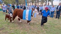 cumbre por la barrera sanitaria: la patagonia va al choque con nacion