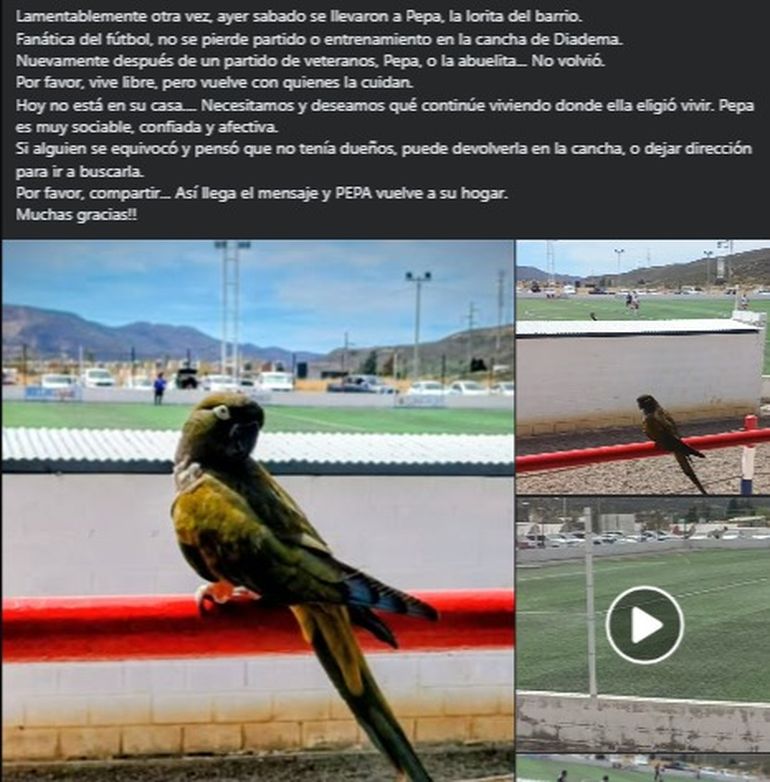 El posteo del domingo 7 de junio de 2026 en Facebook, pidiendo ayuda para encontrar a Pepa. El posteo del domingo 7 de junio de 2026 en Facebook, pidiendo ayuda para encontrar a Pepa. 