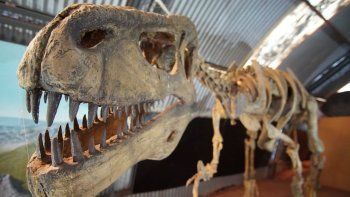 el turismo paleontologico busca conquistar a todos el turismo paleontologico busca conquistar a todos