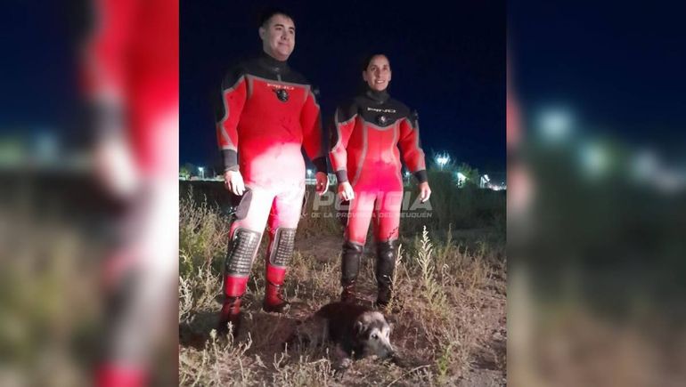 El operativo demandó varias horas de trabajo.&nbsp;