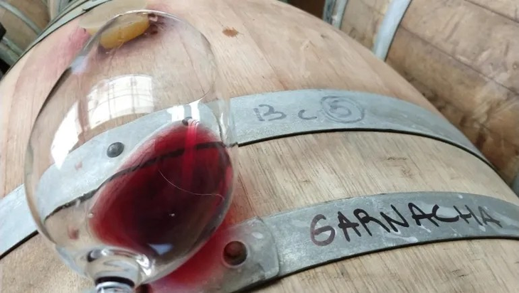 La garnacha tinta es una de las variedades más plantadas en la viticultura mundial . La garnacha tinta es una de las variedades más plantadas en la viticultura mundial .