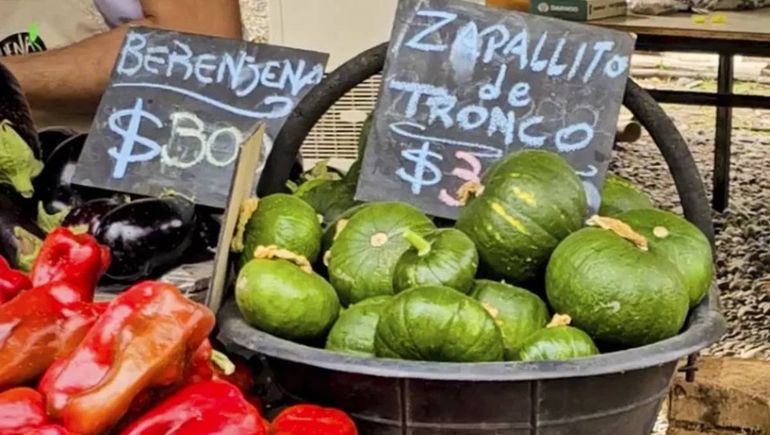 Feria en una chacra de Centenario.