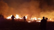 tierra del fuego azotada por los incendios que ya afectaron mas de 9 mil hectareas: video tierra del fuego azotada por los incendios que ya afectaron mas de 9 mil hectareas: video