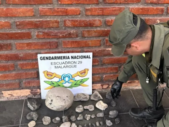 El traslado de fósiles sin autorización está prohibido.