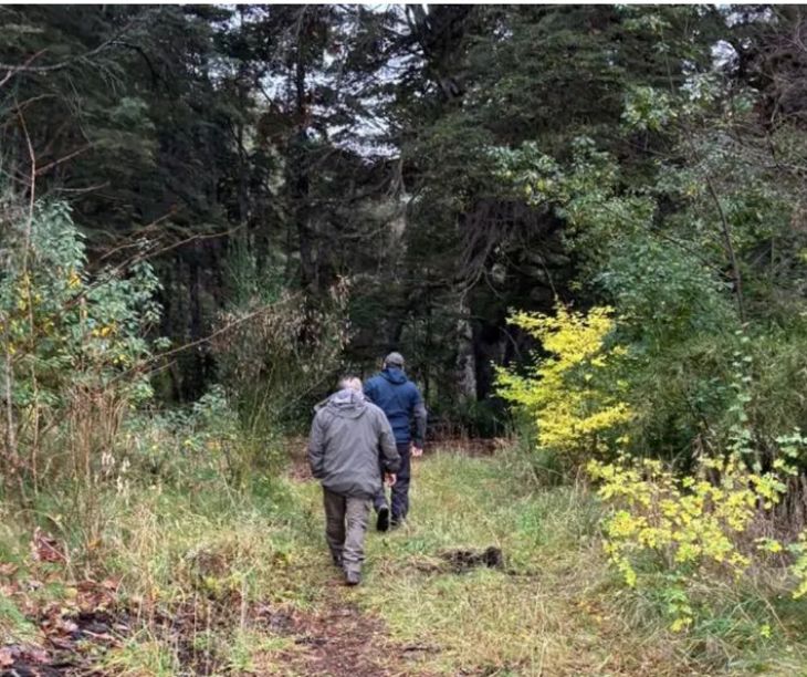 Estudian herramientas para controlar la situación. Estudian herramientas para controlar la situación.