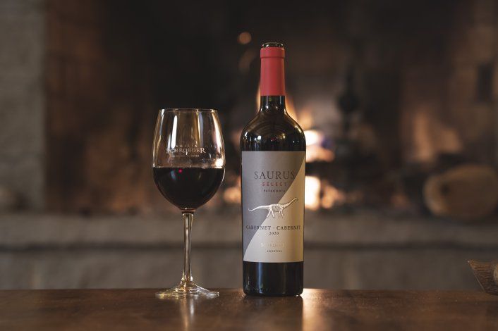 Cabernet con Cabernet, un nuevo Saurus Select