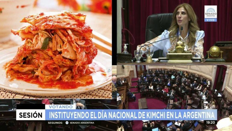 Kimchi: El polémico proyecto que aprobó el Senado en pleno furor de El Juego del Calamar