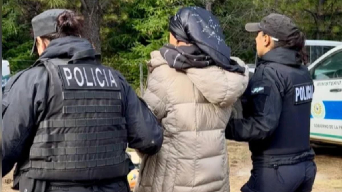 Incendios en Chubut: detuvieron en un lof mapuche a una mujer que vinculan  a la RAM