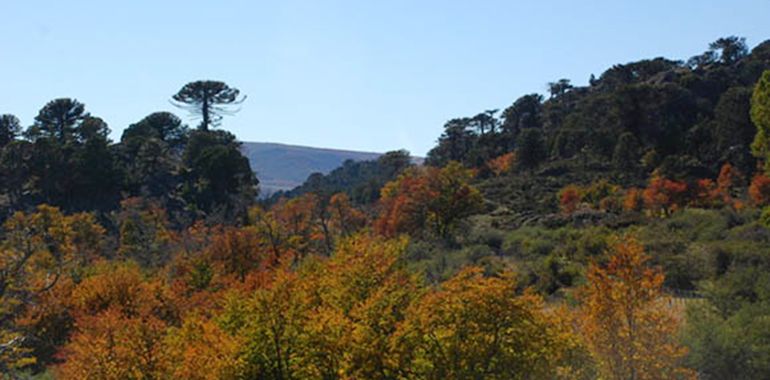 El fin de la temporada de invierno tiene promociones increíbles en la provincia de Neuquén.