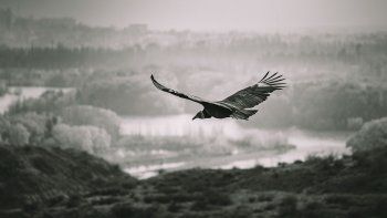 la leyenda de los rios limay y neuquen, desde los mapuches a la ciencia la leyenda de los rios limay y neuquen, desde los mapuches a la ciencia