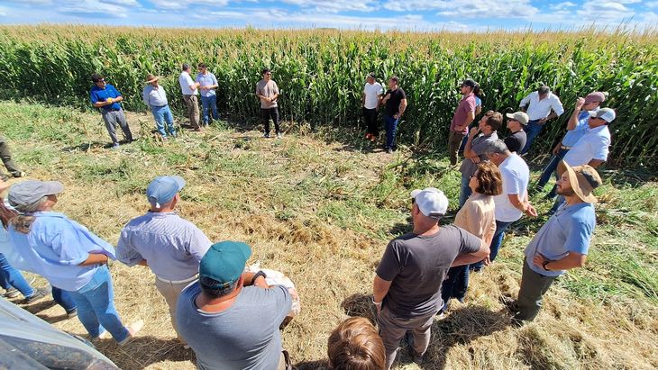 En Río Negro, el aumento de la superficie cultivable con cereales en estos últimos años ha sido muy importante. En Río Negro, el aumento de la superficie cultivable con cereales en estos últimos años ha sido muy importante.