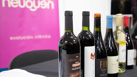 Patagonia del Vino