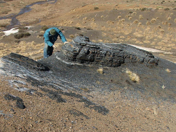 fuego invisible: acuerdo clave por mantos de carbon en parques nacionales de la patagonia