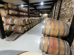 Bodegas del Alto Valle en Río Negro: 44.237 hl totales resaltan el énfasis en Merlot y Semillón, con fuerte presencia de terceros en genéricos. Bodegas del Alto Valle en Río Negro: 44.237 hl totales resaltan el énfasis en Merlot y Semillón, con fuerte presencia de terceros en genéricos.