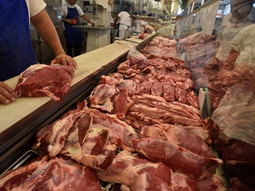 En 2023, con un suledo promedio se compraban 123 kg. de carne, actualmente el número cayó a 108 kg. En 2023, con un suledo promedio se compraban 123 kg. de carne, actualmente el número cayó a 108 kg.