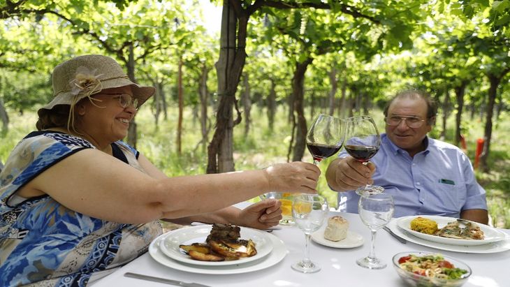 Pasión y tradición: Rionegrinos, a recorrer chacras y conocer el esfuerzo y la historia detrás de la calidad de los vinos locales. Pasión y tradición: Rionegrinos, a recorrer chacras y conocer el esfuerzo y la historia detrás de la calidad de los vinos locales.