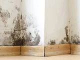 Las manchas de humedad y hongos suelen ser una molestia. ¿Cómo podemos limpiarlas? Algunos trucos caseros.