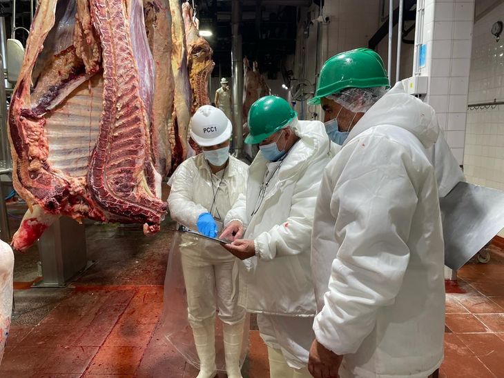 Chile continuará siendo el principal destino de la oferta exportable de carne paraguaya.