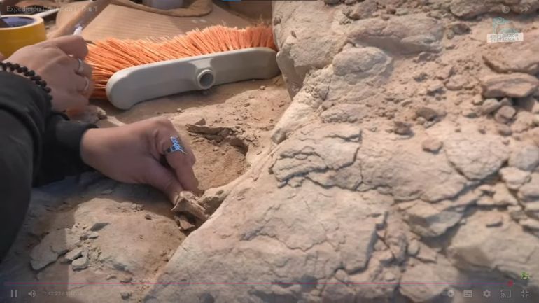 El el primer día del streaming del Conicet en tierras rionegrinas tuvo el primer descubrimiento.