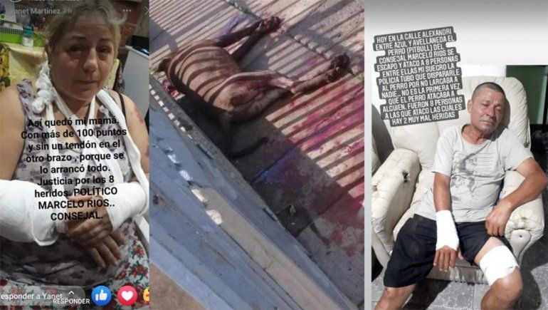 Terror en Morón: un pitbull atacó a ocho personas y la policía terminó matándolo