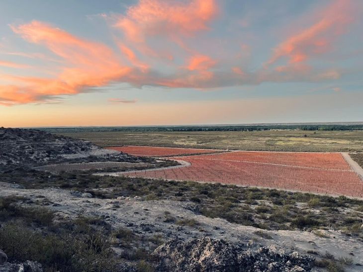 Casa Pirque, una bodega establecida en la barda. Casa Pirque, una bodega establecida en la barda.