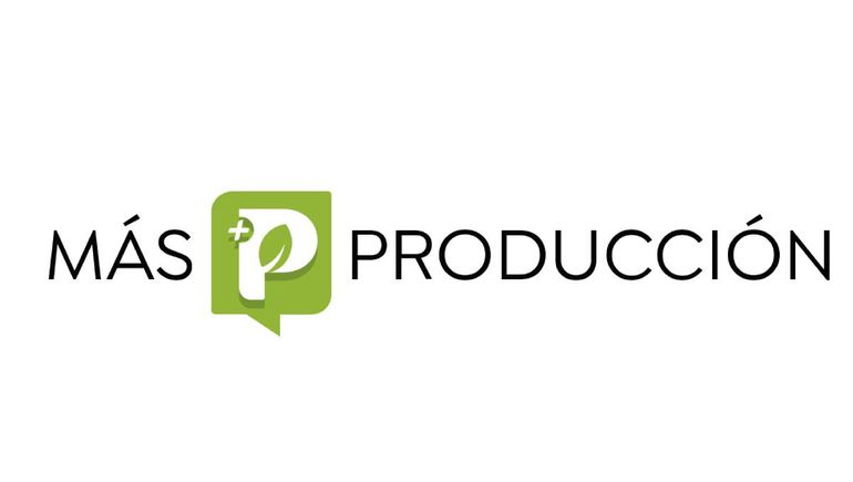 LMNeuquén presenta Más P: un nuevo sitio digital dedicado a la producción