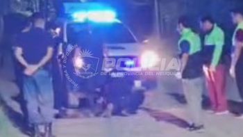 Una noche de terror se vivió en la localidad de Plottier. Una noche de terror se vivió en la localidad de Plottier.