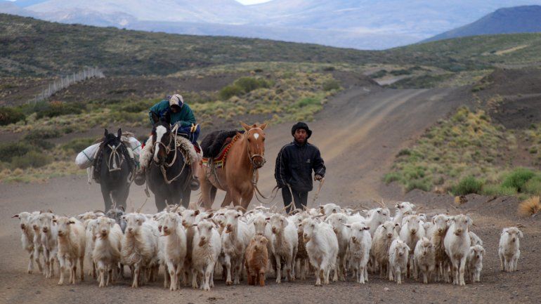 La actividad de un grupo de crianceros está entre las beneficiadas.