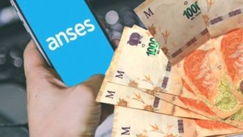 en plena campana, el gobierno entregara $15.000 a los artistas en plena campana, el gobierno entregara $15.000 a los artistas