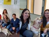 Perros y gatos rescatados ayudan a pacientes en Neuquén: ¿de qué se trata?