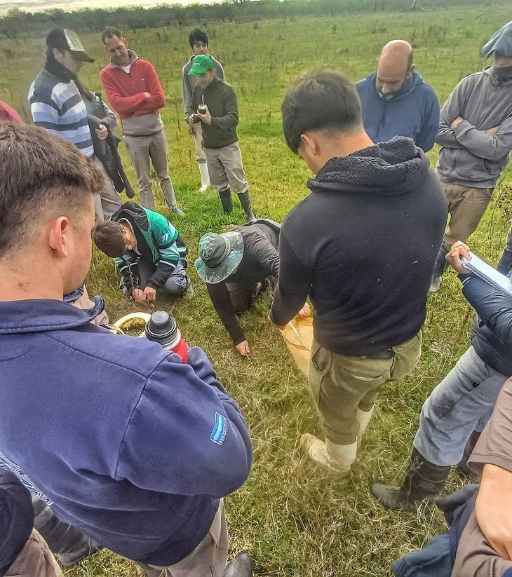El manejo regenerativo ayuda en el control de malezas, aumenta la biodiversidad, mejora la productividad, captura carbono y reduce la contaminación del agua. El manejo regenerativo ayuda en el control de malezas, aumenta la biodiversidad, mejora la productividad, captura carbono y reduce la contaminación del agua.
