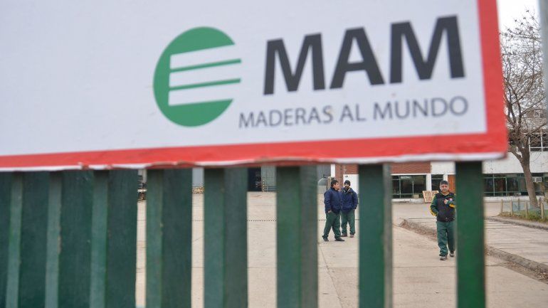 Acuerdo en MAM: se reincorporan tres madereros y los restantes 19 cobrarán indemnización