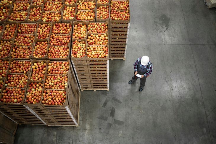 Los bajos stocks de manzana en cámaras de frío permiten proyectar precios sostenidos hasta fin de año.